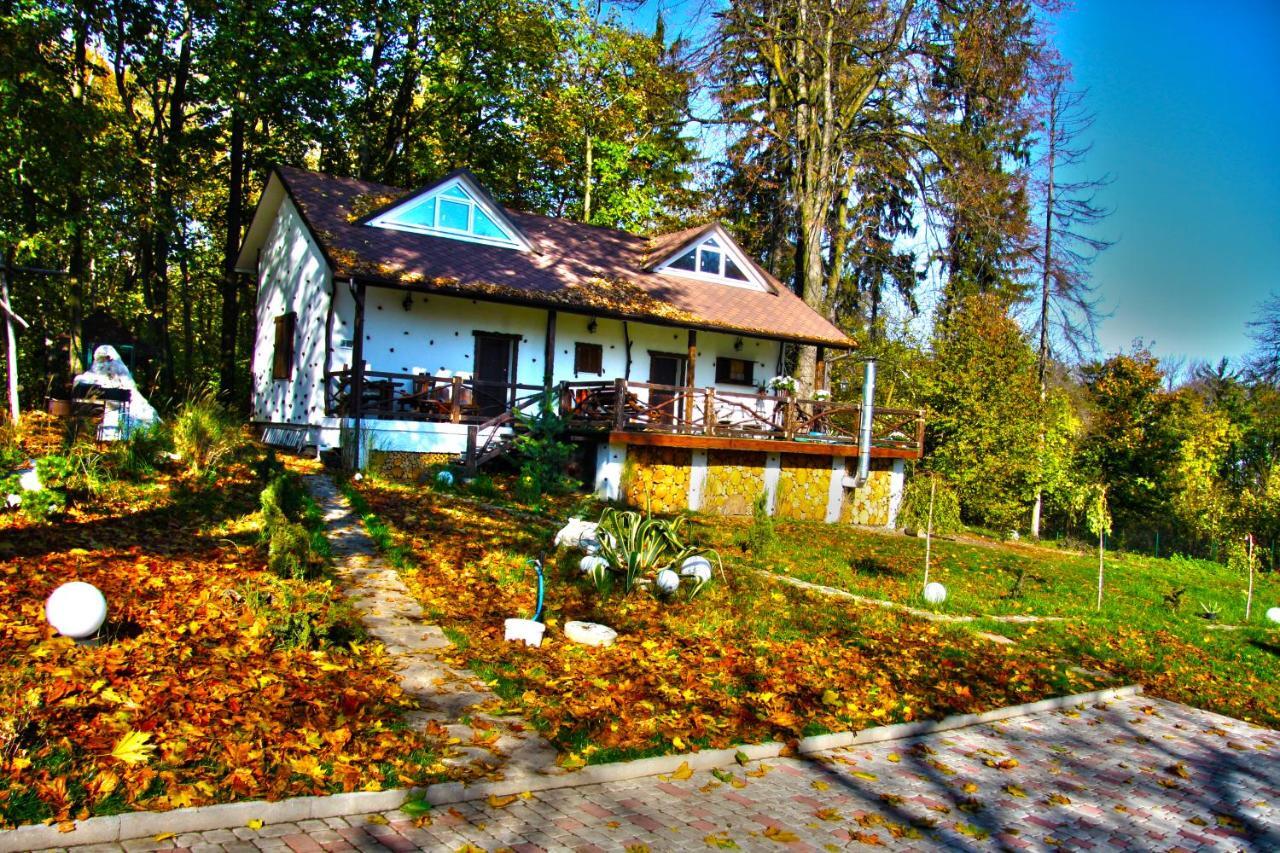 Panorama Hotel & Spa Chernivtsi Εξωτερικό φωτογραφία